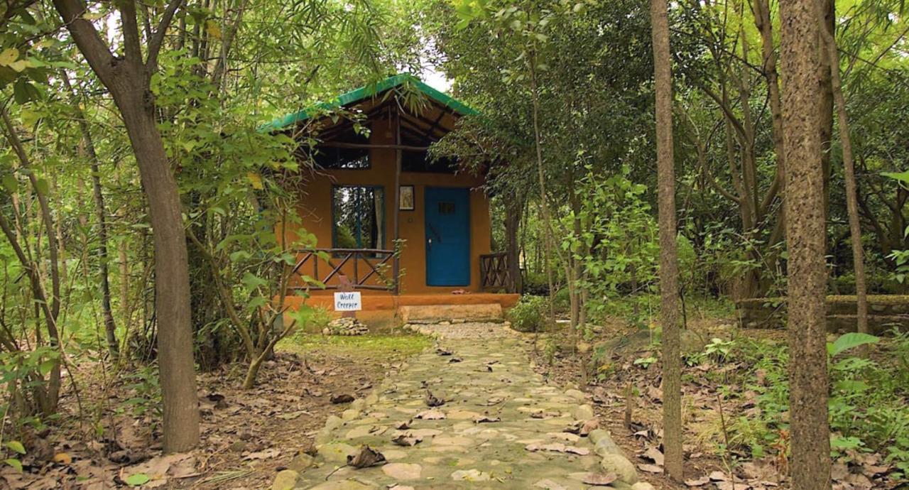 Camp Hornbill Corbett Hotel Rámnagar Kültér fotó