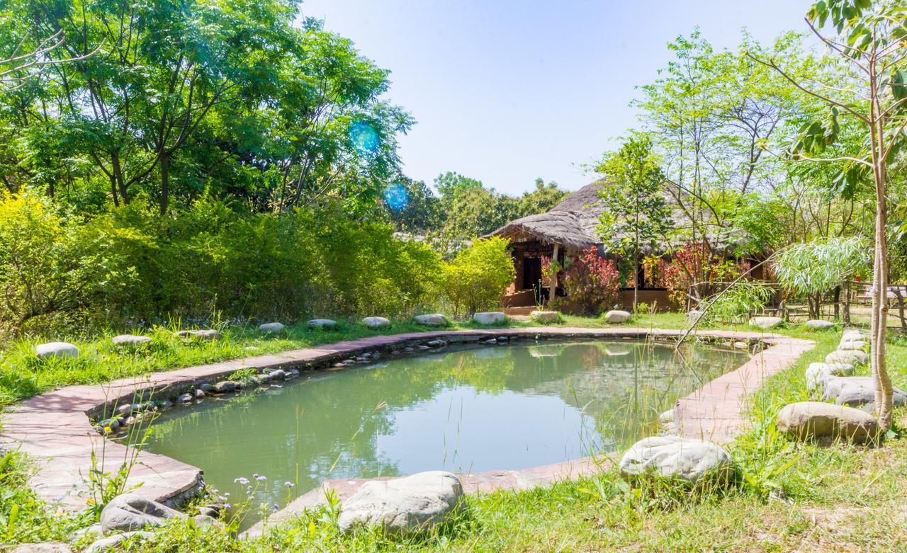 Camp Hornbill Corbett Hotel Rámnagar Kültér fotó